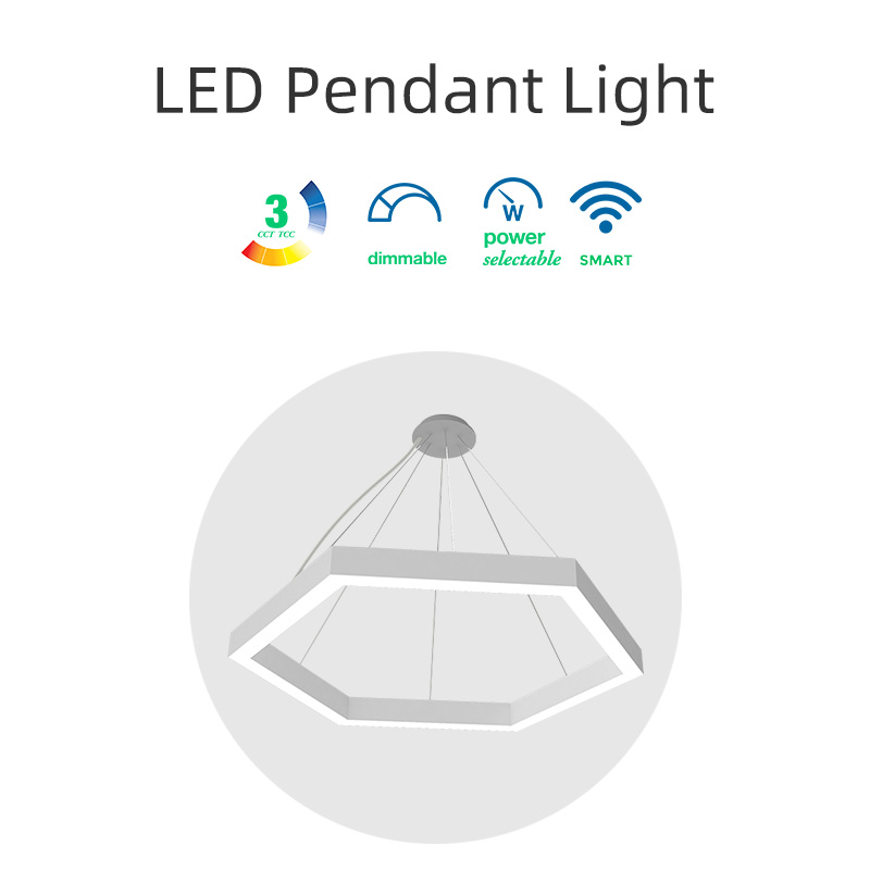LED Pendant Light